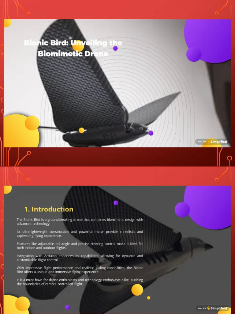 [News] Bionic Bird : les fonds s'envolent, la campagne explose sur Indiegogo