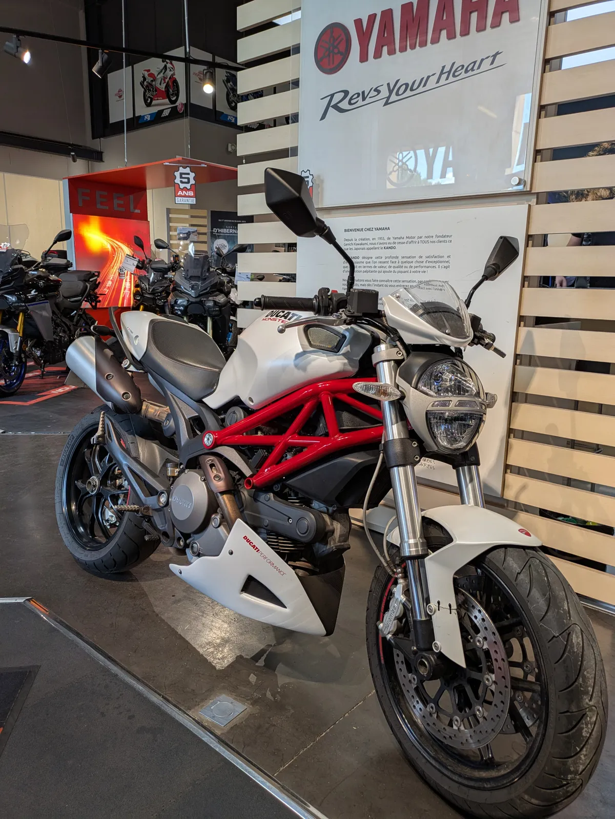 Session Monsters au Rui Blanc — 06/05/07 revisitée