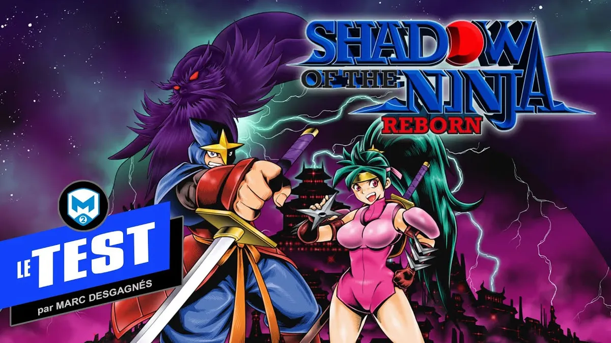 Completion Platine n°137 — Shadow of the Colossus : 16 bastons, 40h et quelques larmes