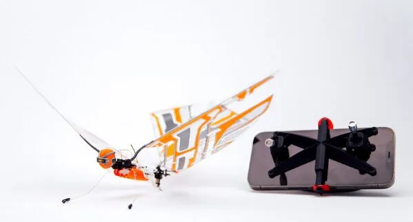 Nouvel envol pour le Bionic Bird : la mini-voûte qui revient en 2026